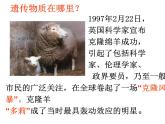 2023-2024学年八年级生物（北师大版）上册同步备课优质课件 20.2 性状遗传的物质基础