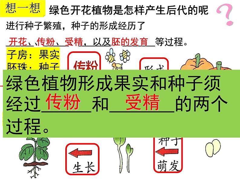 2023-2024学年八年级生物（北师大版）上册同步备课优质课件 19.3 植物的生殖方式03