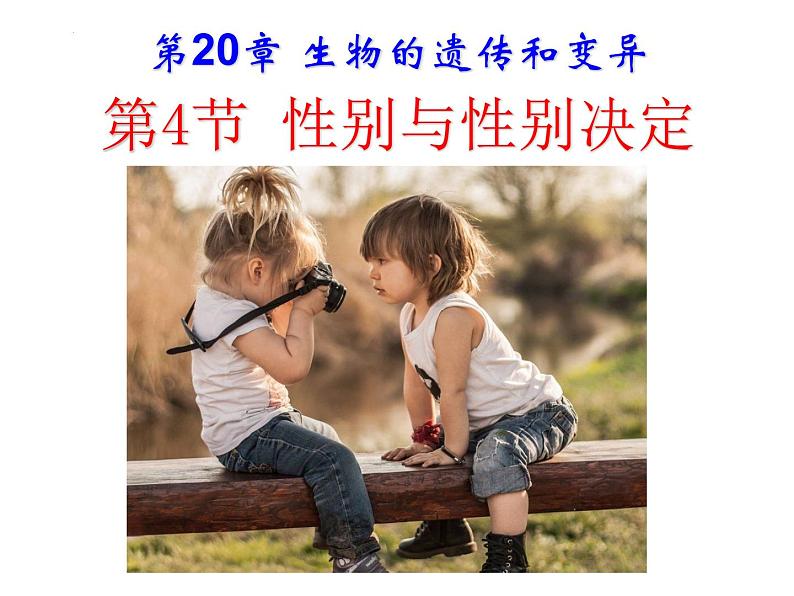 2023-2024学年八年级生物（北师大版）上册同步备课优质课件 20.4 性别和性别决定01