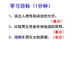 2023-2024学年八年级生物（北师大版）上册同步备课优质课件 20.4 性别和性别决定