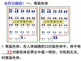 2023-2024学年八年级生物（北师大版）上册同步备课优质课件 20.4 性别和性别决定