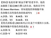 2023-2024学年八年级生物（北师大版）上册同步备课优质课件 20.4 性别和性别决定