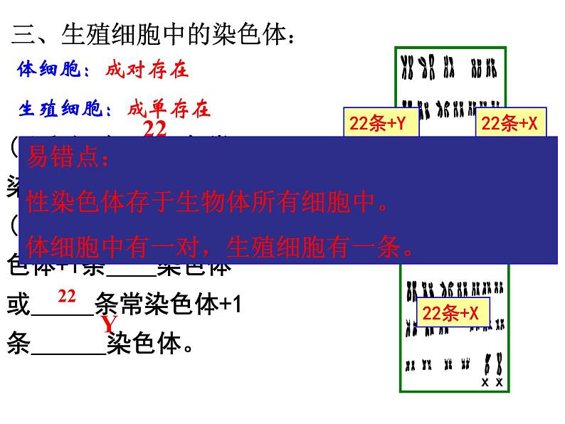 2023-2024学年八年级生物（北师大版）上册同步备课优质课件 20.4 性别和性别决定06