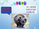 2023-2024学年八年级生物（北师大版）上册同步优质课件 第二十章第二节 性状遗传的物质基础