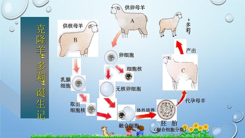 2023-2024学年八年级生物（北师大版）上册同步优质课件 第二十章第二节 性状遗传的物质基础05