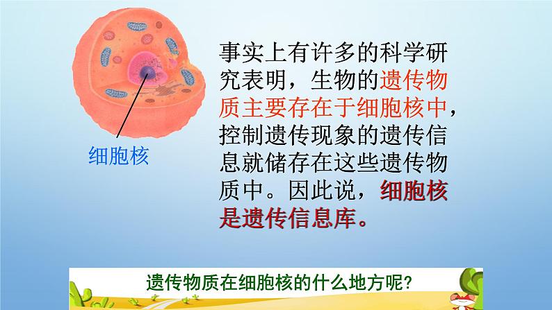 2023-2024学年八年级生物（北师大版）上册同步优质课件 第二十章第二节 性状遗传的物质基础08