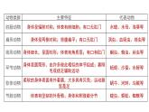 2023-2024学年八年级生物（人教版）上册同步备课系列 5.1.4 鱼（教学课件）