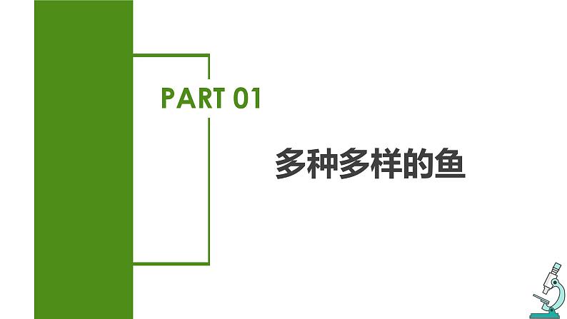 2023-2024学年八年级生物（人教版）上册同步备课系列 5.1.4 鱼（教学课件）06