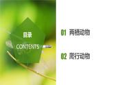 2023-2024学年八年级生物（人教版）上册同步备课系列 5.1.5 两栖动物和爬行动物（教学课件）
