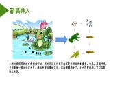 2023-2024学年八年级生物（人教版）上册同步备课系列 5.1.5 两栖动物和爬行动物（教学课件）