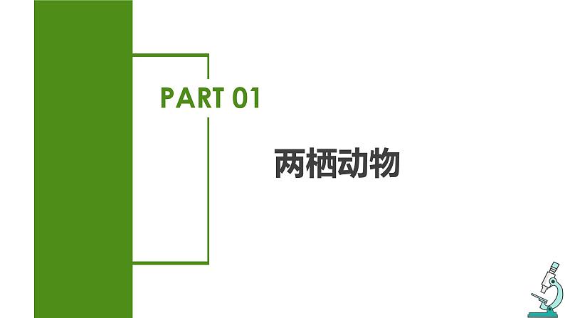 2023-2024学年八年级生物（人教版）上册同步备课系列 5.1.5 两栖动物和爬行动物（教学课件）05