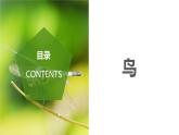 2023-2024学年八年级生物（人教版）上册同步备课系列 5.1.6 鸟（教学课件）