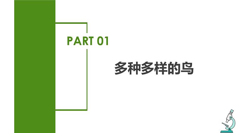 2023-2024学年八年级生物（人教版）上册同步备课系列 5.1.6 鸟（教学课件）第4页