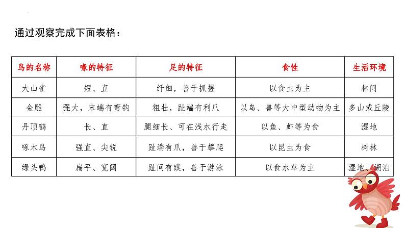 2023-2024学年八年级生物（人教版）上册同步备课系列 5.1.6 鸟（教学课件）第6页