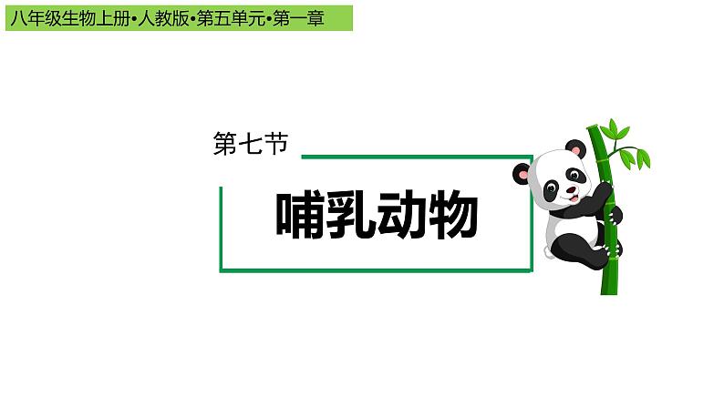 2023-2024学年八年级生物（人教版）上册同步备课系列 5.1.7 哺乳动物（教学课件）01