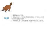 2023-2024学年八年级生物（人教版）上册同步备课系列 5.1.7 哺乳动物（教学课件）