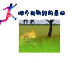 2023-2024学年八年级生物（人教版）上册同步备课系列 5.2.1 动物的运动（教学课件）