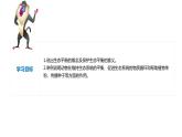 2023-2024学年八年级生物（人教版）上册同步备课系列 5.3 动物在生物圈中的作用（教学课件）