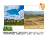 2023-2024学年八年级生物（人教版）上册同步备课系列 5.3 动物在生物圈中的作用（教学课件）
