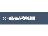2023-2024学年八年级生物（人教版）上册同步备课系列 5.3 动物在生物圈中的作用（教学课件）
