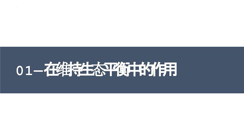 2023-2024学年八年级生物（人教版）上册同步备课系列 5.3 动物在生物圈中的作用（教学课件）第5页