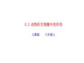 2023-2024学年八年级生物（人教版）上册同步精品课件 5.3 动物在生物圈中的作用