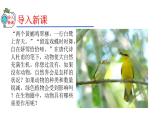 2023-2024学年八年级生物（人教版）上册同步精品课件 5.3 动物在生物圈中的作用