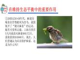 2023-2024学年八年级生物（人教版）上册同步精品课件 5.3 动物在生物圈中的作用