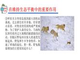 2023-2024学年八年级生物（人教版）上册同步精品课件 5.3 动物在生物圈中的作用