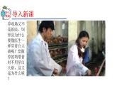 2023-2024学年八年级生物（人教版）上册同步精品课件 5.4.1 细菌和真菌的分布