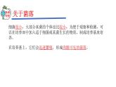 2023-2024学年八年级生物（人教版）上册同步精品课件 5.4.1 细菌和真菌的分布