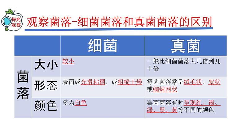 2023-2024学年八年级生物（人教版）上册同步精品课件 5.4.1 细菌和真菌的分布第6页