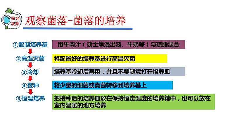 2023-2024学年八年级生物（人教版）上册同步精品课件 5.4.1 细菌和真菌的分布第7页