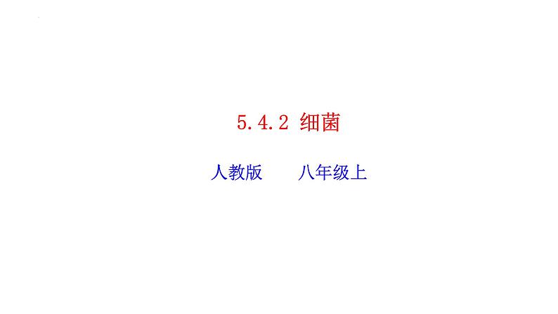 2023-2024学年八年级生物（人教版）上册同步精品课件 5.4.2 细菌01