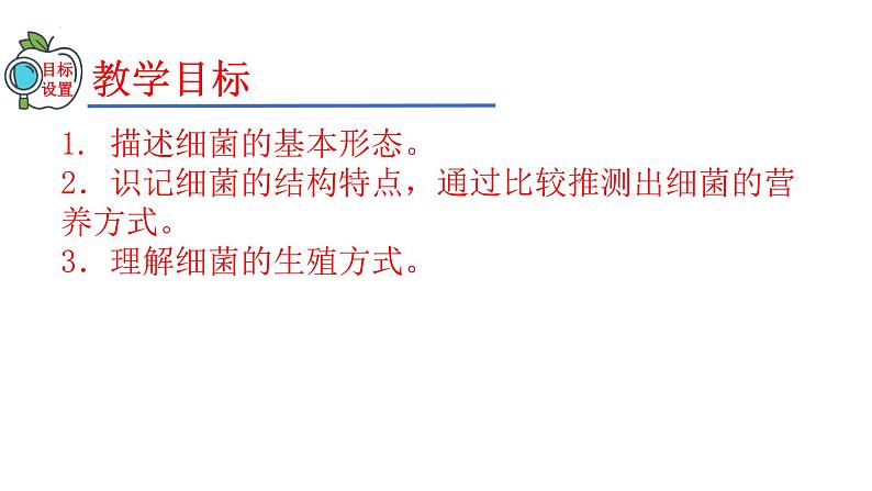 2023-2024学年八年级生物（人教版）上册同步精品课件 5.4.2 细菌02