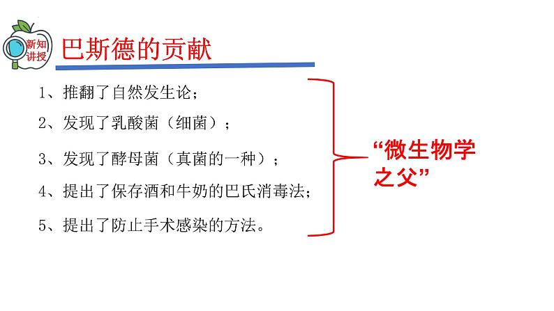 2023-2024学年八年级生物（人教版）上册同步精品课件 5.4.2 细菌08