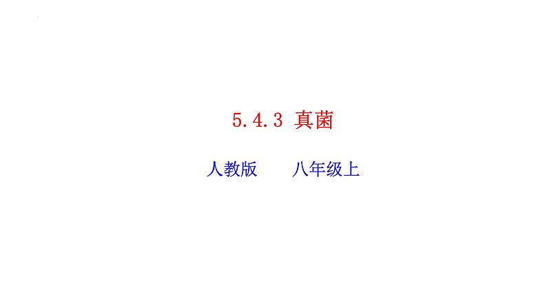 2023-2024学年八年级生物（人教版）上册同步精品课件 5.4.3 真菌01