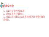 2023-2024学年八年级生物（人教版）上册同步精品课件 5.4.3 真菌