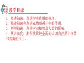 2023-2024学年八年级生物（人教版）上册同步精品课件 5.4.4 细菌和真菌在自然界中的作用