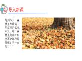2023-2024学年八年级生物（人教版）上册同步精品课件 5.4.4 细菌和真菌在自然界中的作用