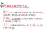 2023-2024学年八年级生物（人教版）上册同步精品课件 5.4.4 细菌和真菌在自然界中的作用