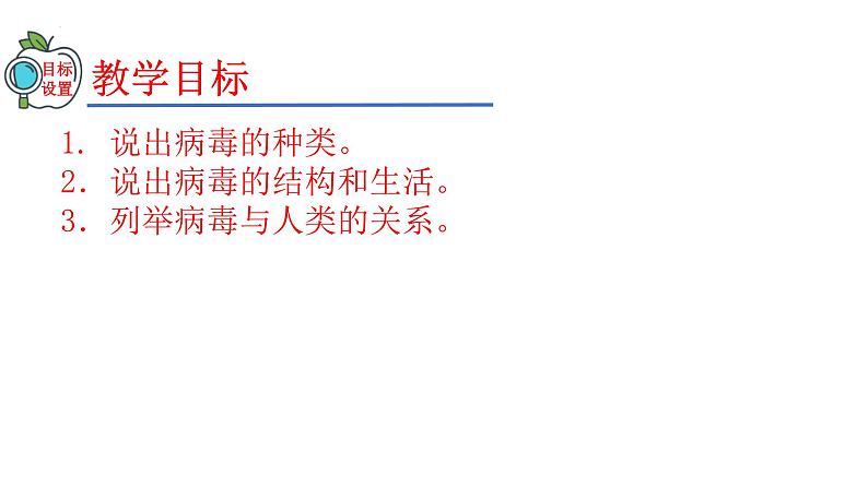 2023-2024学年八年级生物（人教版）上册同步精品课件 5.5 病毒02