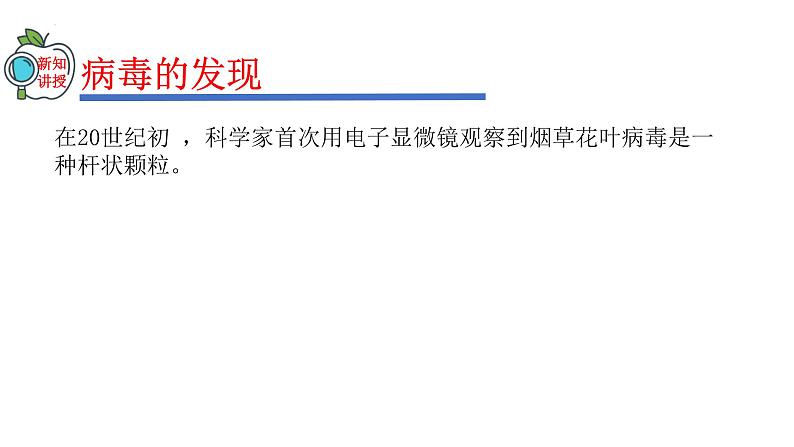 2023-2024学年八年级生物（人教版）上册同步精品课件 5.5 病毒05