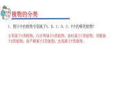 2023-2024学年八年级生物（人教版）上册同步精品课件 6.1.1 尝试对生物进行分类