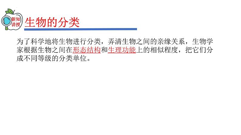 2023-2024学年八年级生物（人教版）上册同步精品课件 6.1.2 从种到界04