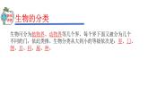 2023-2024学年八年级生物（人教版）上册同步精品课件 6.1.2 从种到界