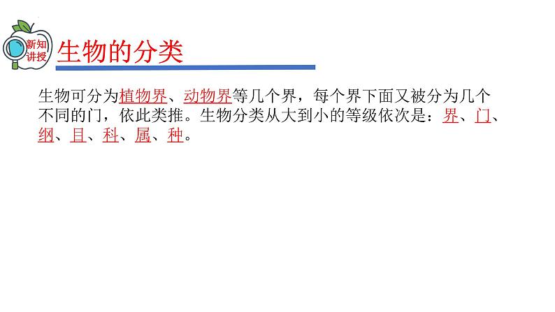 2023-2024学年八年级生物（人教版）上册同步精品课件 6.1.2 从种到界05