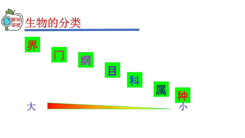 2023-2024学年八年级生物（人教版）上册同步精品课件 6.1.2 从种到界06