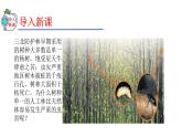 2023-2024学年八年级生物（人教版）上册同步精品课件 6.2 认识生物的多样性
