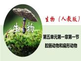 2023-2024学年八年级生物（人教版）上册同步课堂 5.1.1 腔肠动物和扁形动物（课件）